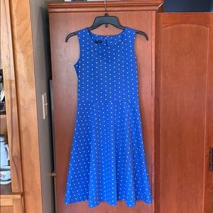Talbots Polka Dot Dress